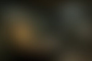 Фотография квеста Побег из обезьянника от компании Like Quest (Фото 1)