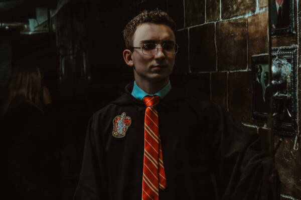 Гарри и тайна подземелья