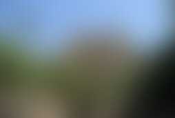 Фотография ролевого квеста Пиастры Карибского моря от компании УралФАНмонтаж (Фото 1)
