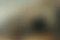 Фотография ролевого квеста Правила сталкера от компании УралФАНмонтаж (Фото 1)